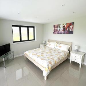 a bedroom with a large bed and a flat screen tv at Apple Lodge - Somerset Holiday Homes in North Wootton