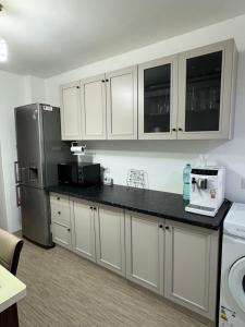 Kuchyň nebo kuchyňský kout v ubytování Apartament Brazdă