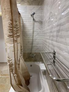 a bathroom with a shower and a bath tub at Madinaty Home in Madinaty