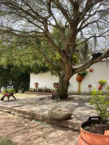 Zahrada ubytování Hotel Campestre Casa Jaz