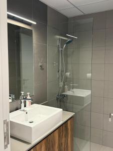une salle de bain avec un lavabo blanc et une douche dans l'établissement Royal Vacation Home - Modern 1BR, à Charjah