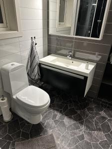 a bathroom with a toilet and a sink at Comfortable house in Gryllefjord in Senja +18 photos