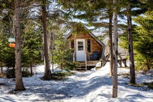 a cabin in the woods in the snow at The Zzzz Moose Camping Cabins in Birch Plain