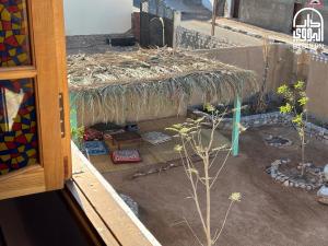 Foto dalla galleria di Bedouin Hostel- دار البدوي a Dahab