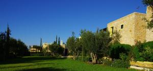 Zahrada ubytování Essaouira Lodge