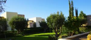 Zahrada ubytování Essaouira Lodge