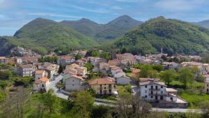 a town in a valley with mountains in the background at Desiree's Rooms - n 2 camere con bagno privato e balcone in Trecchina