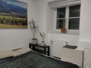 Fotografie z fotogalerie ubytování Lemon Tree Hostel v Krakově