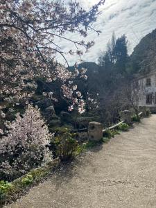 a garden with pink flowers on the side of a road at Alojamientos La Tercia in Benizar