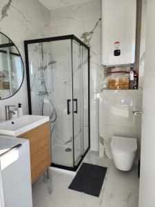 a bathroom with a shower and a toilet and a sink at Studio lumineux avec grande terrasse et vue lac, Parking privé in Lugrin