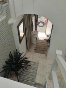 an overhead view of a living room with a plant at La casa de loto in Alcalá de los Gazules