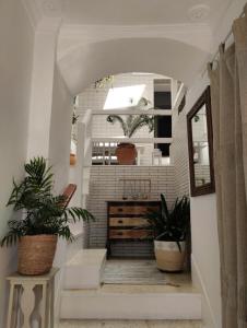 a hallway with potted plants and stairs in a house at La casa de loto in Alcalá de los Gazules