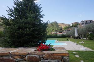een kerstboom in een tuin naast een zwembad bij Quinta Madureira in Alfolões