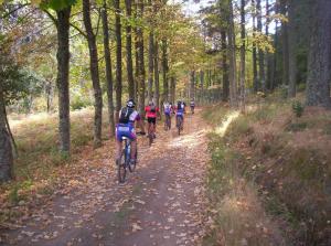 a group of people riding bikes down a trail at Residence Hotel Torresilvana in Vieste