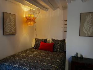 a bedroom with a bed with a red pillow at Maison Chez ACHILLE in Évreux