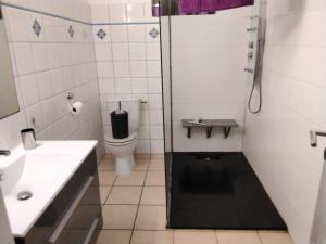 a bathroom with a shower and a toilet and a sink at Grand T2 avec piscine privative in Les Trois-Îlets +9 photos