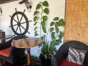 Posezení v ubytování Cabo Tortuga Hotel Boutique