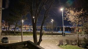 a park at night with street lights and a tree at M&M apartment in Tulcea