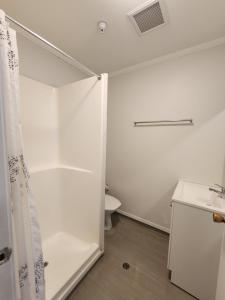 Foto Aucklandis asuva majutusasutuse Albion Hotel galeriist