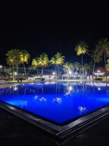ein großer blauer Swimmingpool bei Nacht mit Palmen in der Unterkunft Terrazas de Guacuco TH in Playa Guacuco + 14 Fotos