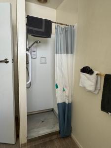 Koupelna v ubytování Diplomat Motel