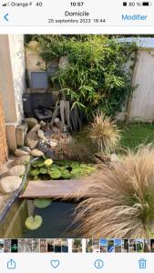 a picture of a garden with a pond with plants at Tiny house in Hermanville-sur-Mer