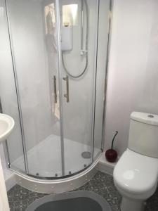 a bathroom with a shower and a toilet at Log cabin studio in Paignton in Paignton