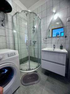 a bathroom with a shower and a washing machine at Milena Apartment Opatija in Volosko +28 photos