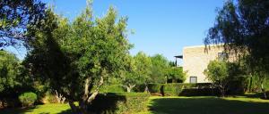 Zahrada ubytování Essaouira Lodge