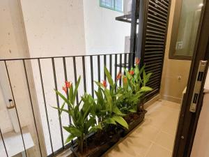 Ảnh trong thư viện ảnh của High-ser Apt w Greenview, Projector and 2BR incenter - So warmly and spacious ở Hà Nội