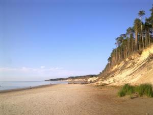 Naturlandskabet i nærheden af lejligheden