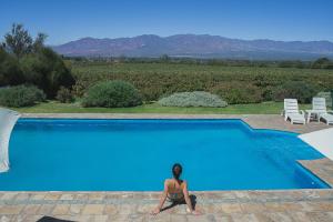 The swimming pool at or near Viñas De Cafayate Wine Resort