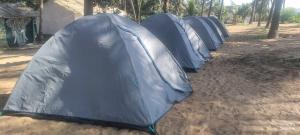 戈卡尔纳The Meraki Beach Resort Gokarna的相册照片