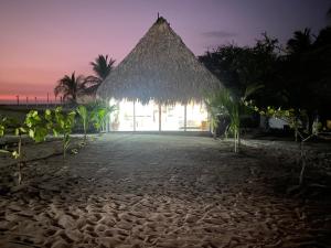 a resort on the beach with a thatch roof at Cabañas y Restaurante La Luna in Boca del cielo