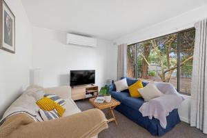 a living room with a blue couch and a large window at Little Pier Cottage in Inverloch