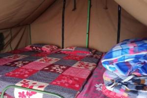 um quarto com duas camas em uma barraca em Camping at Deoriatal Adventure Camps em Ukhimath mais 13 fotografias