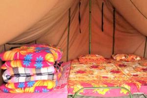 um quarto com duas camas em uma barraca em Camping at Deoriatal Adventure Camps em Ukhimath