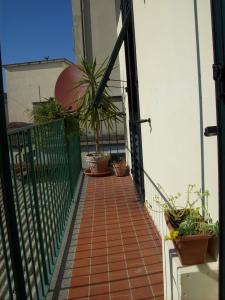 a balcony with potted plants on top of a building at Casa Mia in Florence