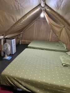 Postel nebo postele na pokoji v ubytování TK Coconut Camping