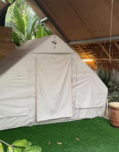 Zahrada ubytování TK Coconut Camping + 32 fotografií