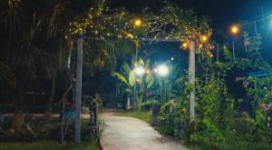 a garden at night with lights on a path at TK Coconut Camping in Tanjung Karang
