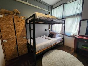 una camera con 2 letti a castello e un tappeto di BLOOMZ HOSTEL a Chiang Mai