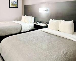 Voodi või voodid majutusasutuse Quality Inn Raynham - Taunton toas