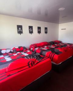 2 Betten in einem Zimmer mit Fledermäusen an der Wand in der Unterkunft Hostal Piratas de Santa Marta in Santa Marta