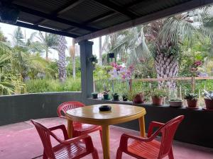 een tafel en stoelen op een patio met potplanten bij Rondebosch Gardens in Humansdorp