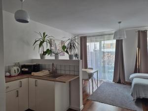 Dapur atau dapur kecil di Great Apart Mokotów