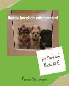 Galeriebild der Unterkunft Pension Breitenborn in Masserberg