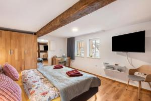 Un dormitorio con una cama y un televisor de pantalla plana. en Mittendrin, en Jesberg