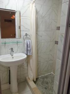 a bathroom with a sink and a shower at Cosey flat Perybere in Grand Baie