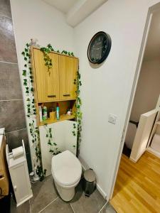 a bathroom with a toilet and a clock on the wall at Maison au coeur du Sidobre in Saint-Salvy-de-la-Balme